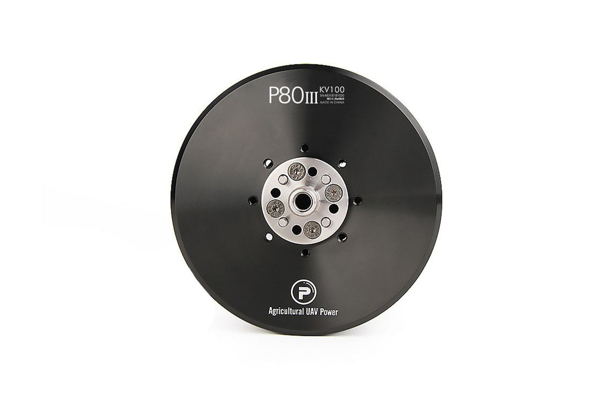 T-Motor P80 Pins