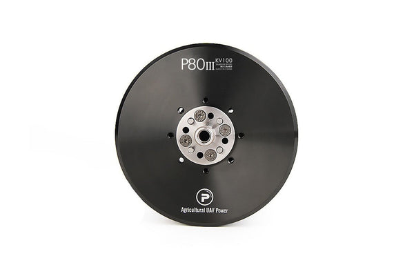 T-Motor P80 Pins