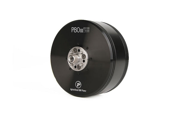 T-Motor P80 Pins