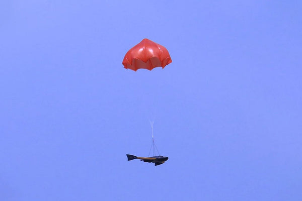 Skywalker Parachute