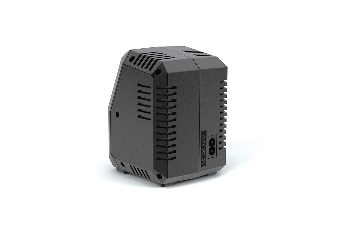 SkyRC- T100 Dual Balance Charger