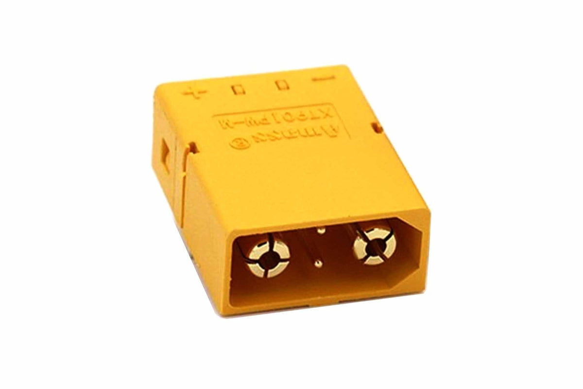 Amass - XT90PW (2+2)-M