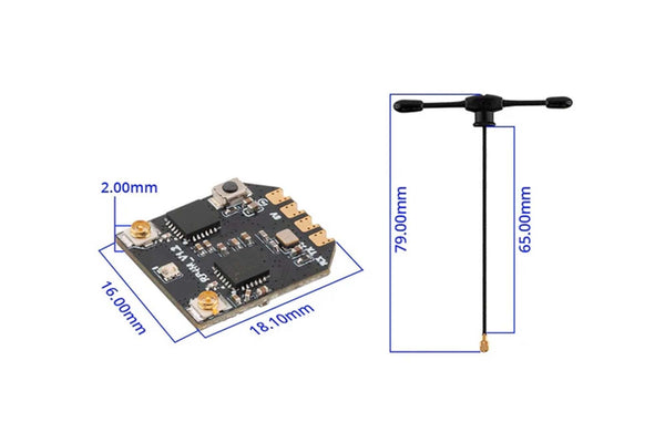 RadioMaster - RP4TD-M-LBT - Receiver