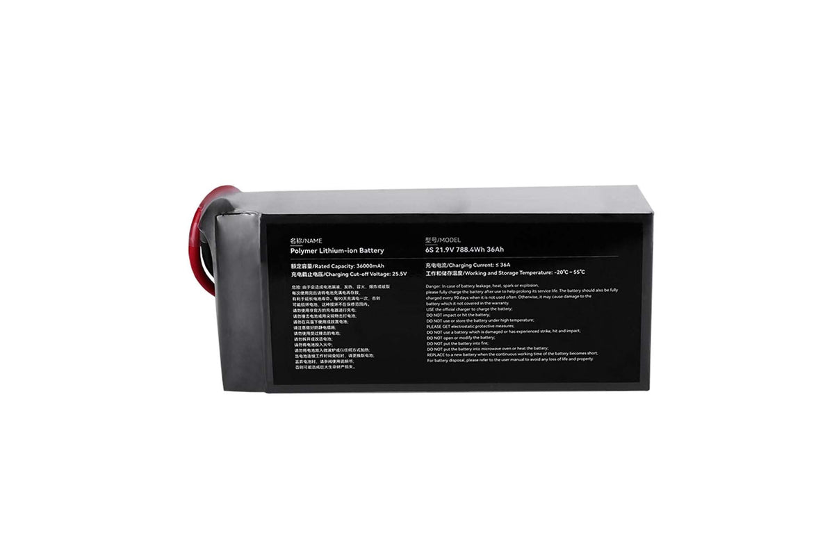 T-Drones- New Solid Li-ion Ares, 6S 36000mAh XT90-S
