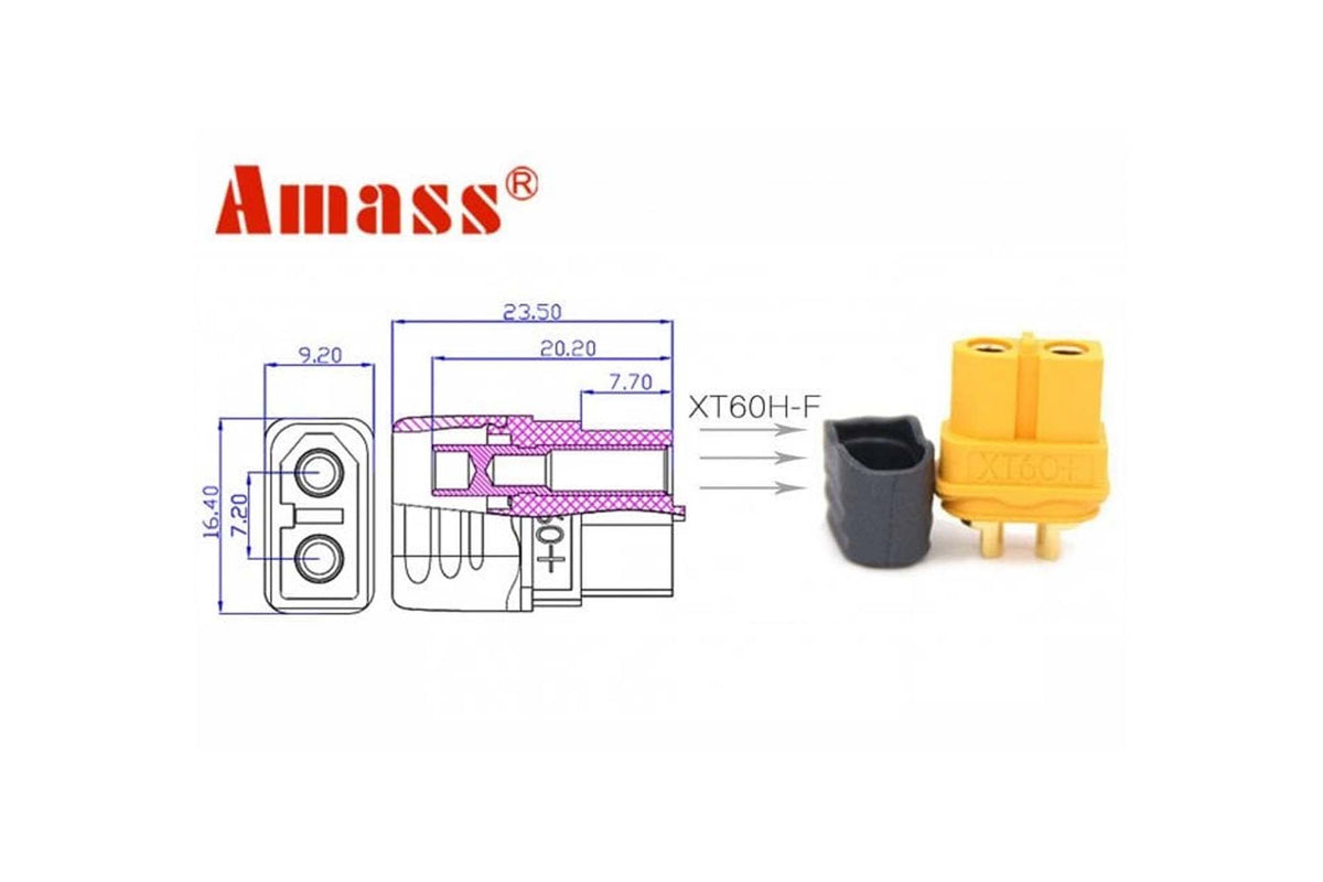 Amass XT60H - Female